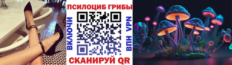 Галлюциногенные грибы Psilocybine cubensis  Купить  Махачкала 